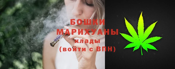 мдпв Верея