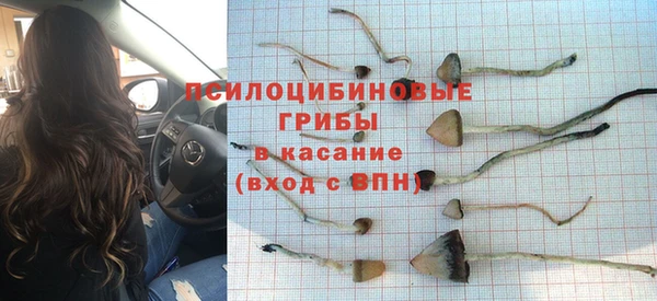 мдпв Верея