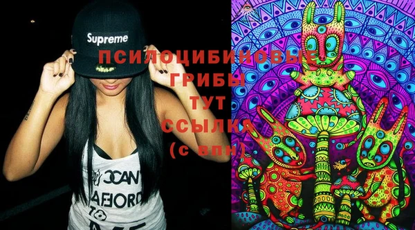 мдпв Верея
