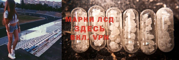 мдпв Верея