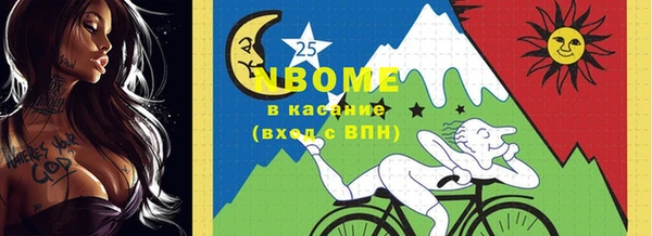 мдпв Верея