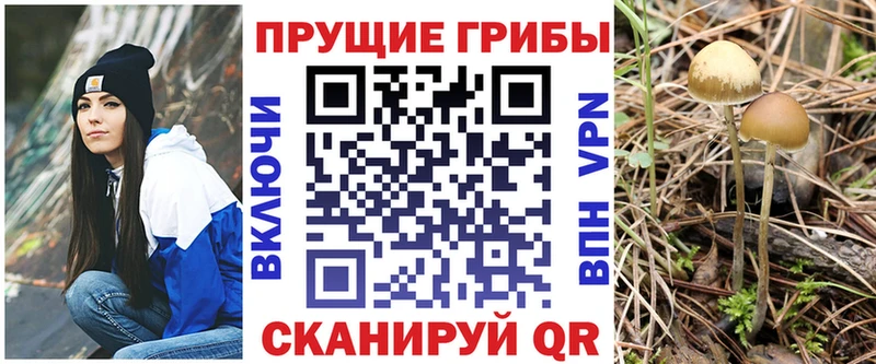 Псилоцибиновые грибы прущие грибы  Купить закладки  Карталы 